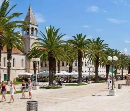 Dii Luxury * 트로기르